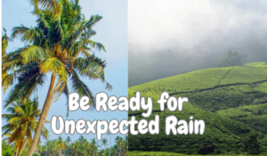 Tips for kerala trip